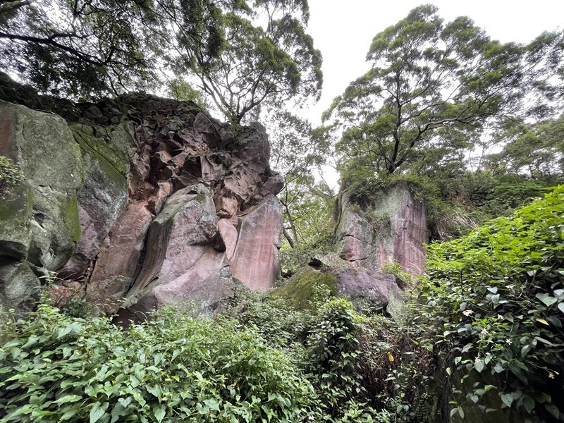 觀音山秘境_2634060