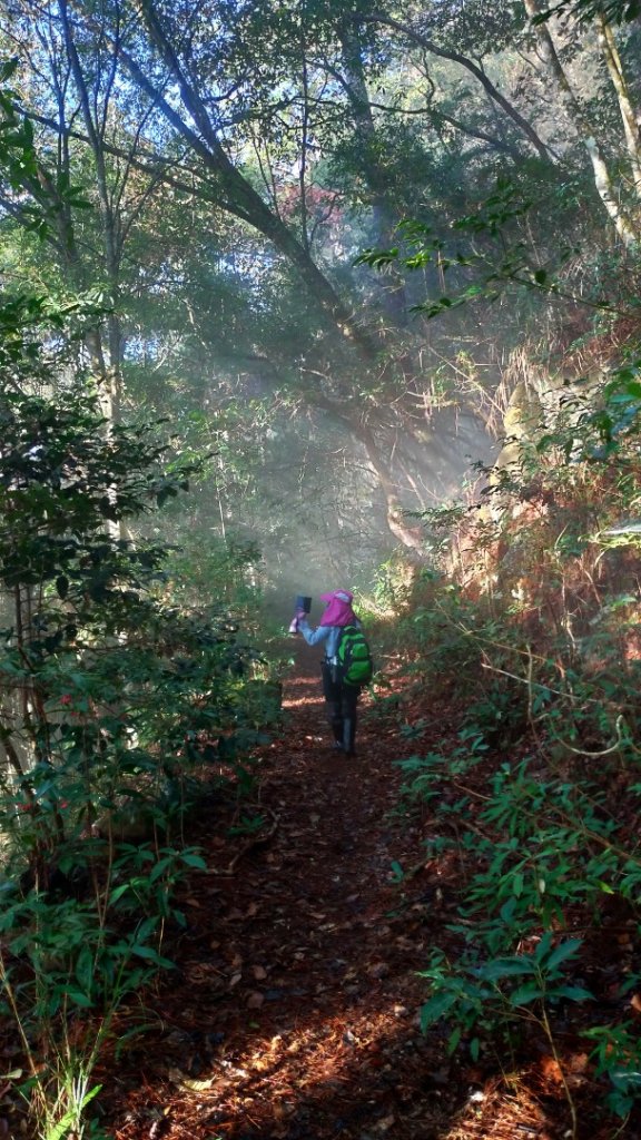 【舊武界山】→埔里六秀_1234410