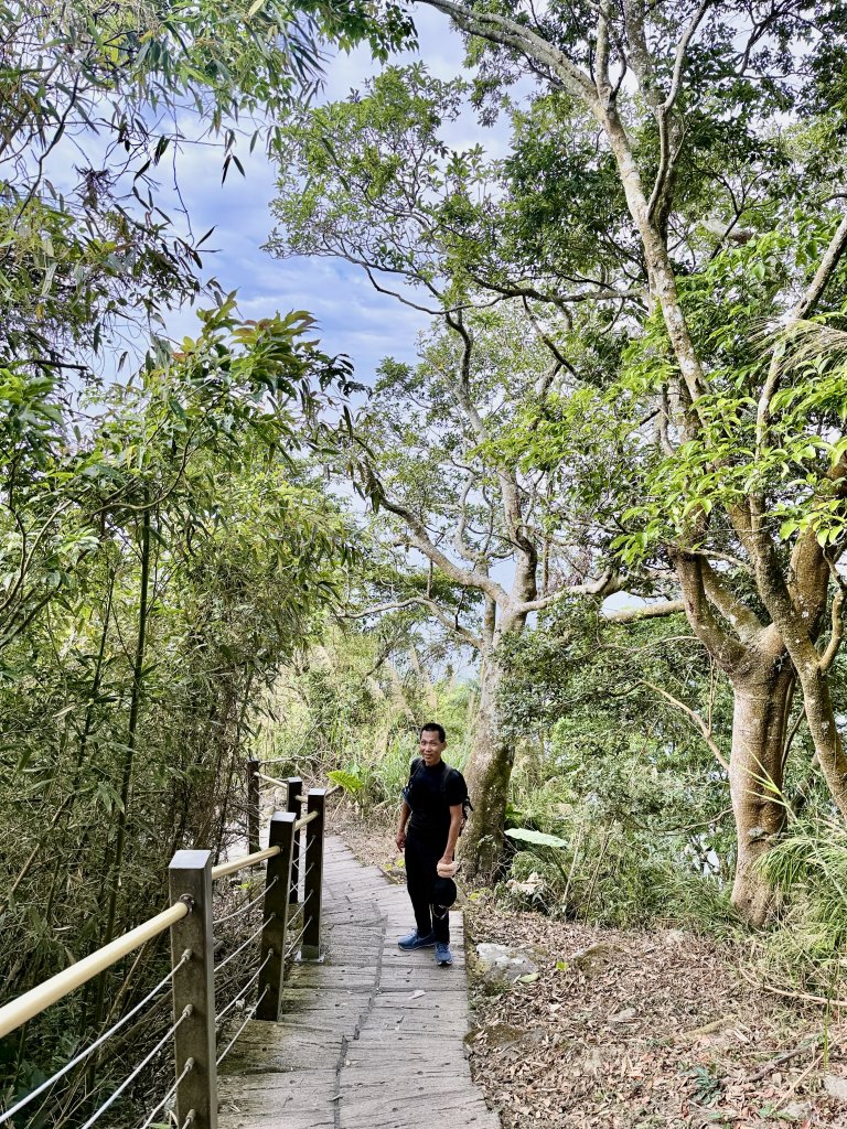 二尖.大尖山悠遊--好友再聚的茶園餘韻   2026.01.18_2985479