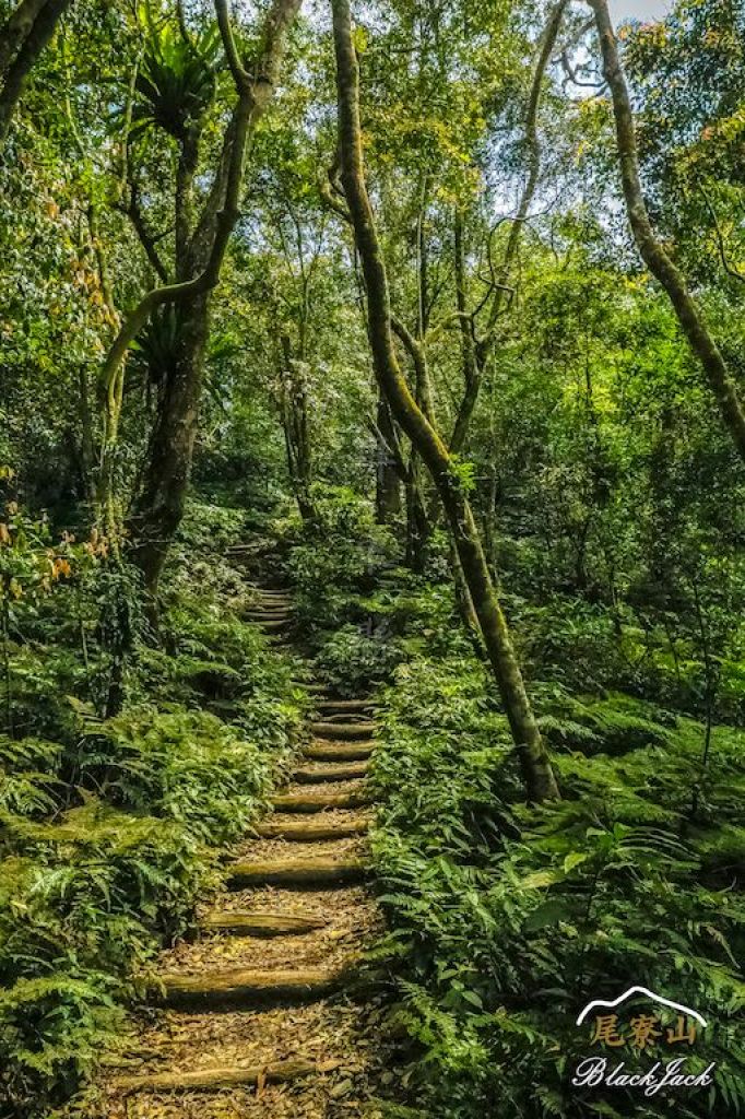 學霸同行尾寮山_295317