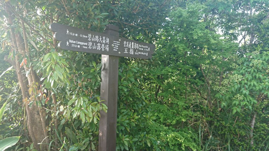 1070401高速攻頂（大崙頭山）_303074