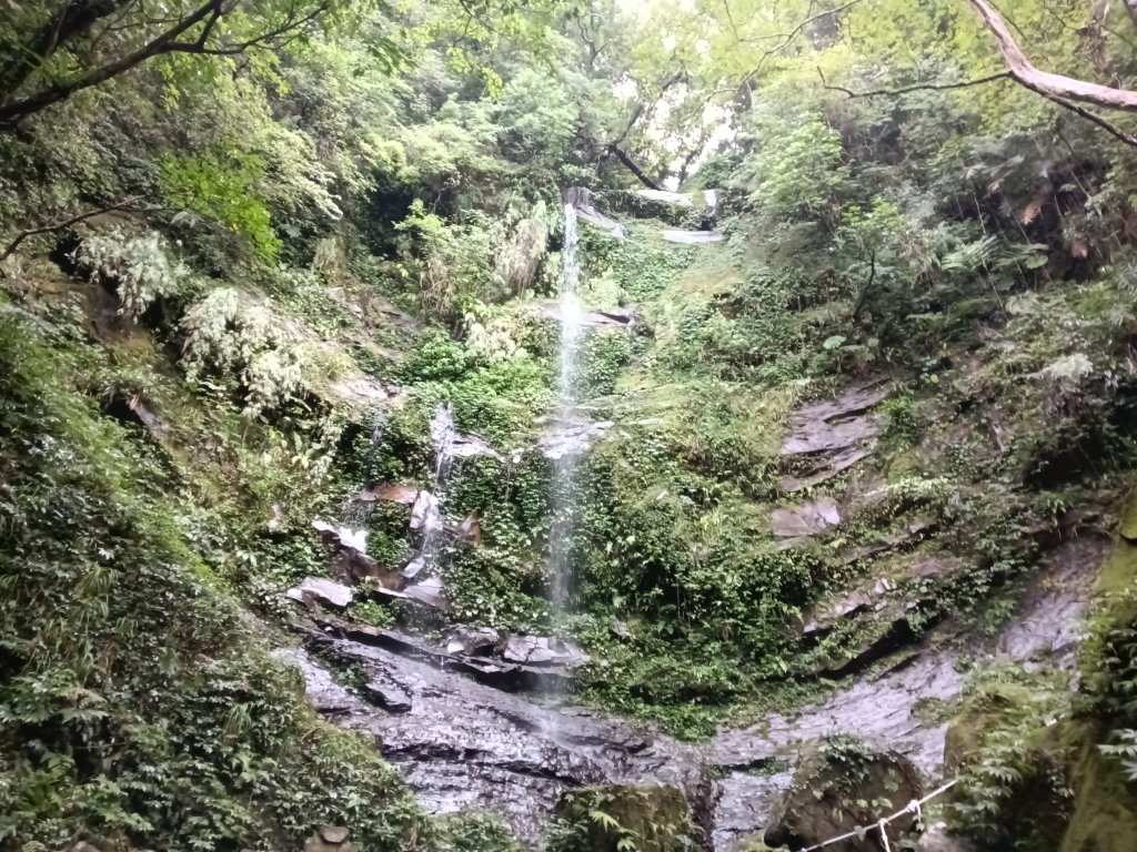 雙溪區中坑古道+大夯瀑布+中坑東山+中坑東山尾稜O型封面圖