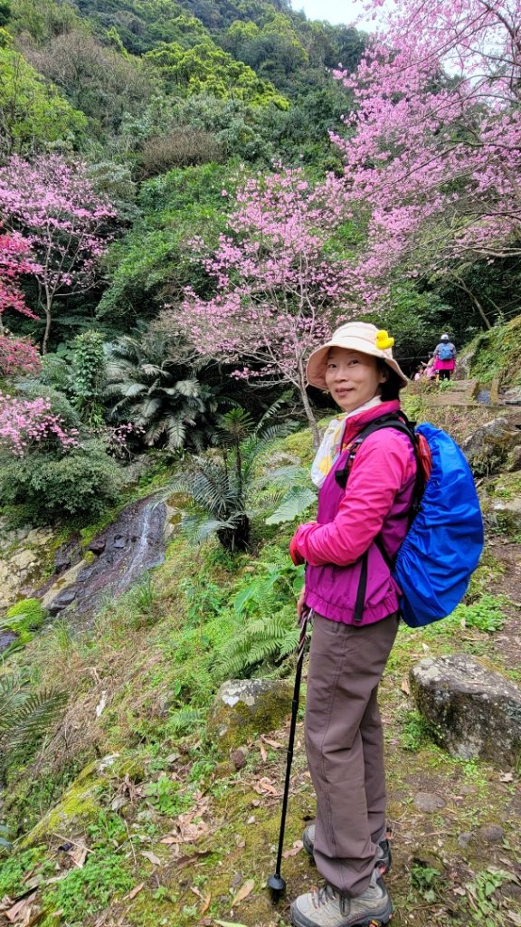 賞花+爬山健行-20240224_2436941