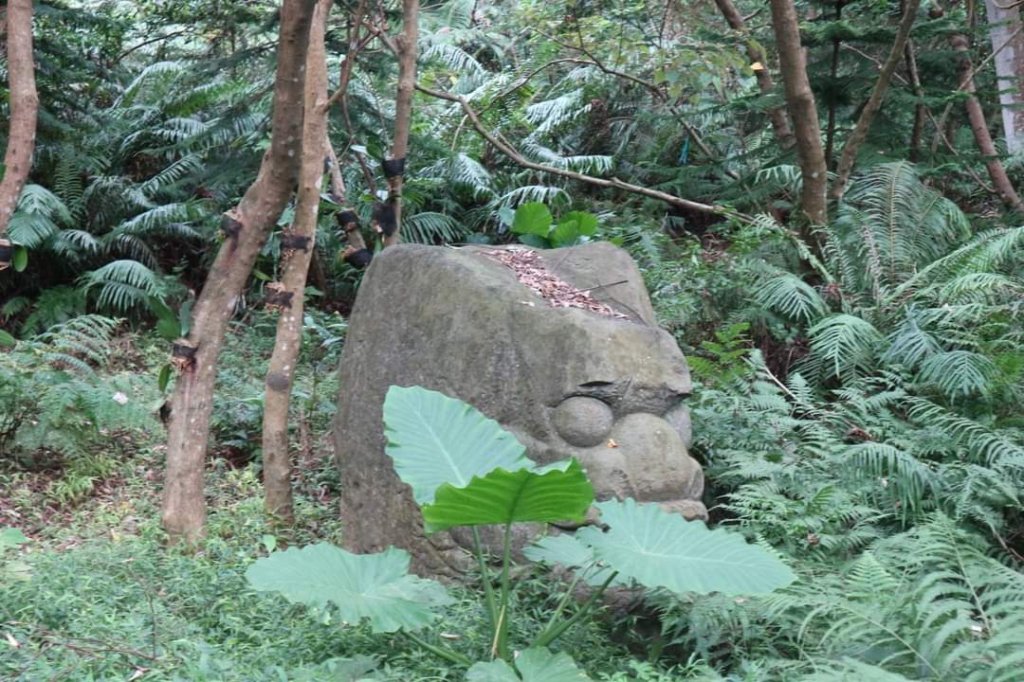 〔內湖〕文間山，劍南蝶園，劍潭古寺，婆婆橋 鄭成功廟步道_2249298