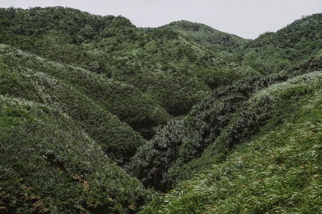 海園古道+黃金九稜_332282