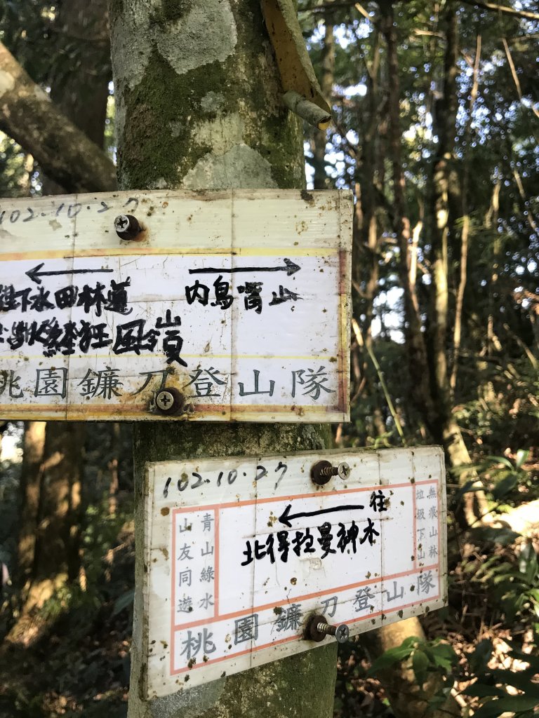 內鳥嘴山→ 那結山→ 外鳥嘴山 O形縱走_1261864