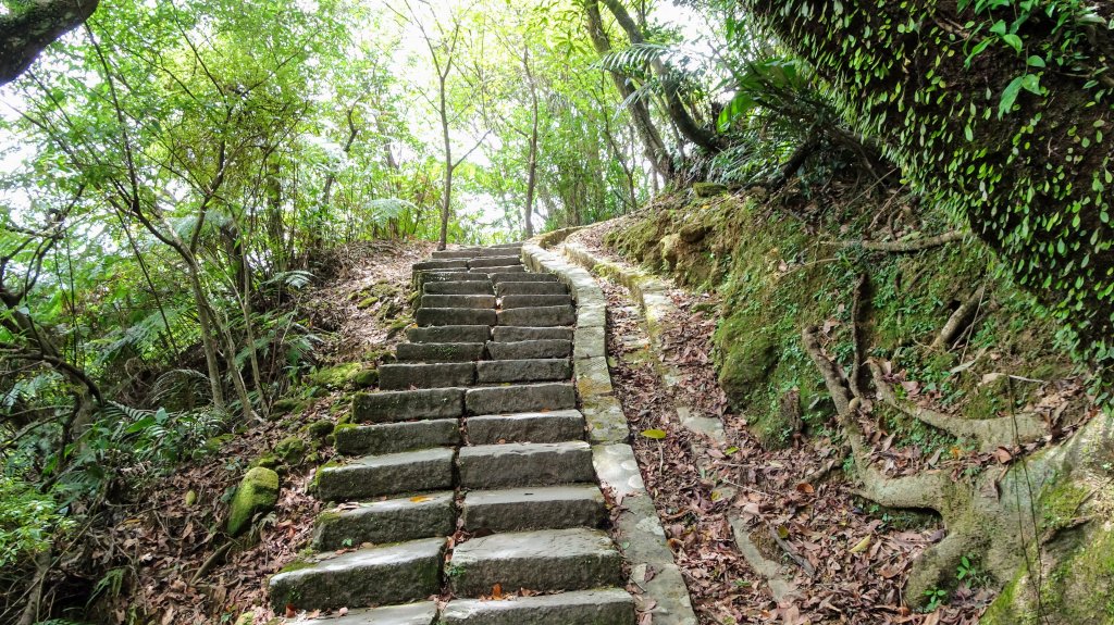 三貂嶺,中坑,柴寮古道_1838272