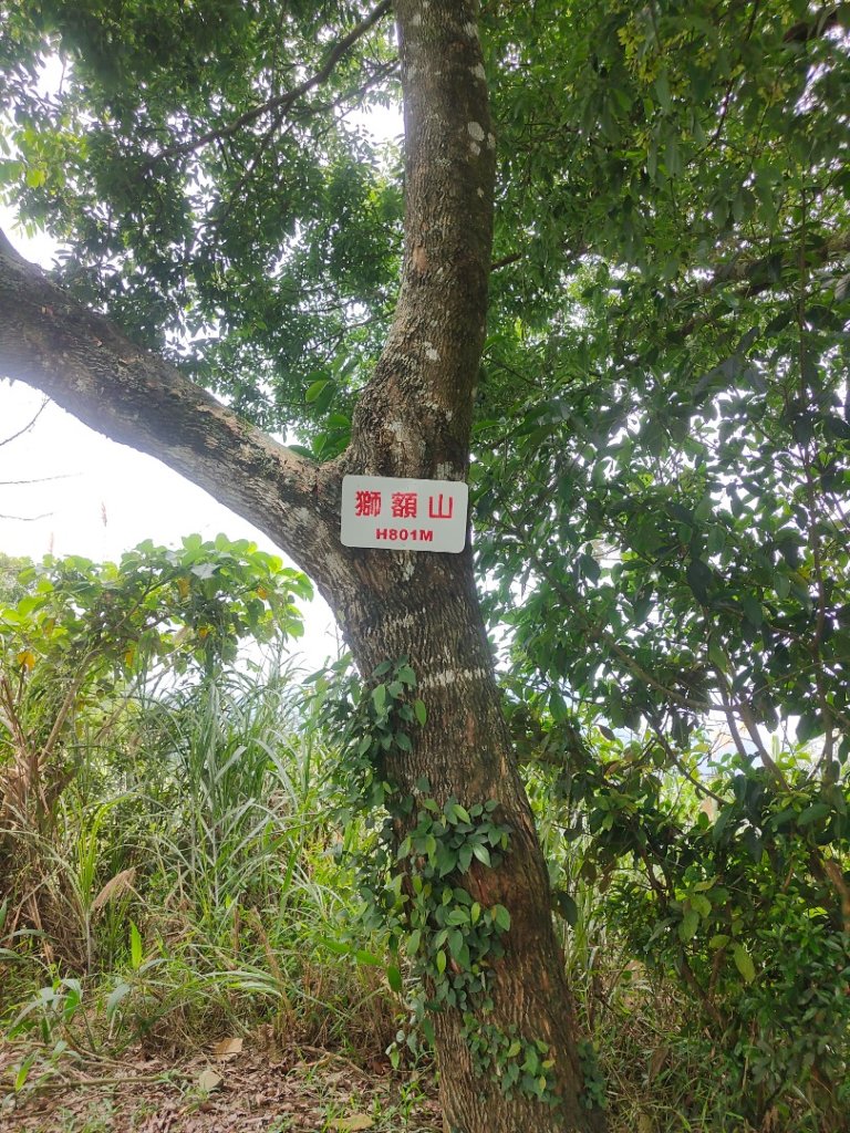 #64小百岳崁頭山、獅額山_2528568