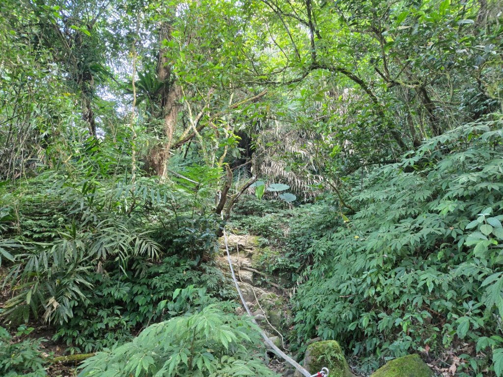 九龍山連走大凍山_2955711