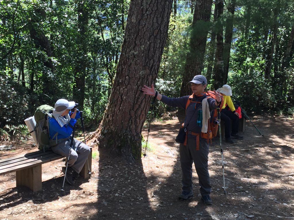 武陵四秀(2015四缺喀_2019喀桃)_689442