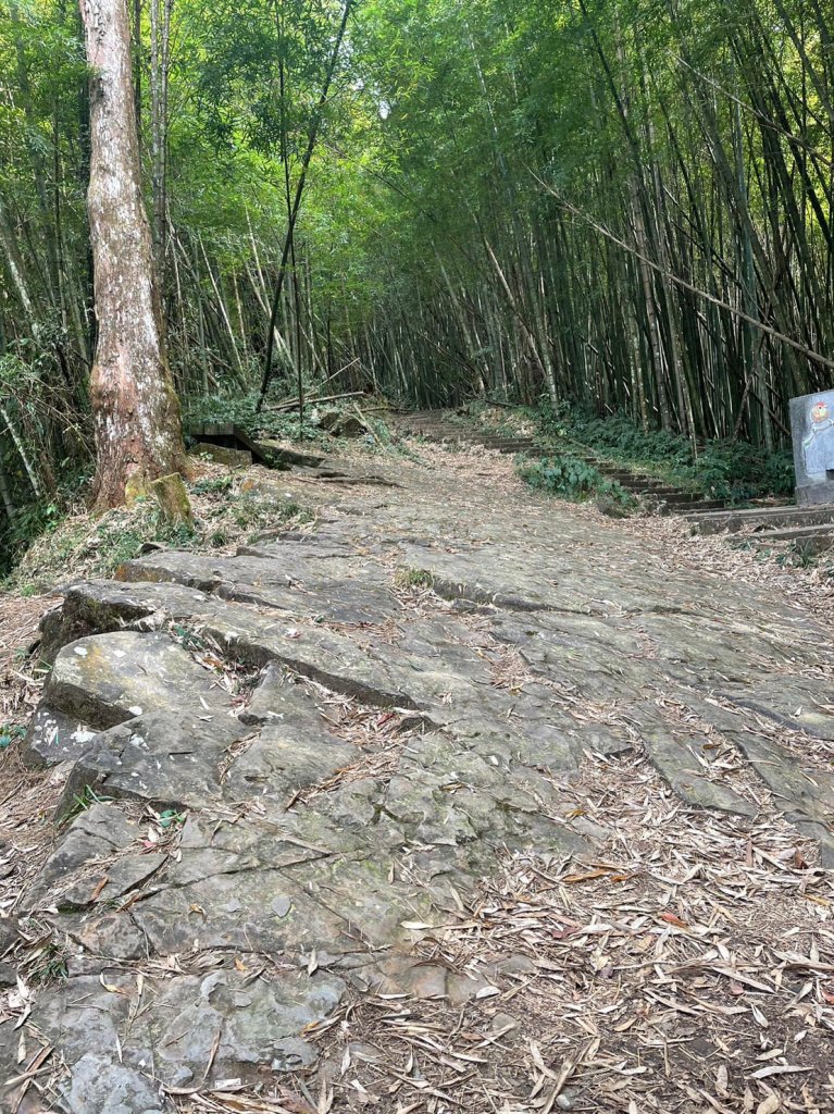 230107-小百岳#060 奮起湖大凍山+霹靂山_1991033