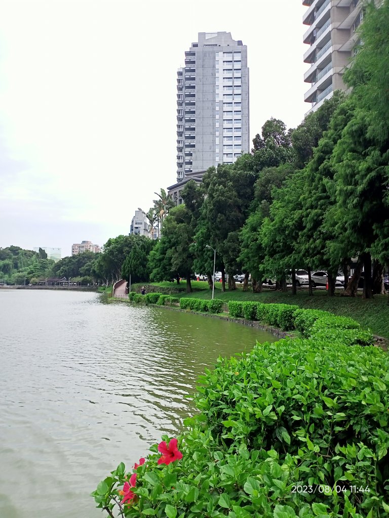 內湖碧湖公園、內湖國小、大港墘公園、文德三號公園、瑞陽公園【健康大穀東、走路趣尋寶】_2240522