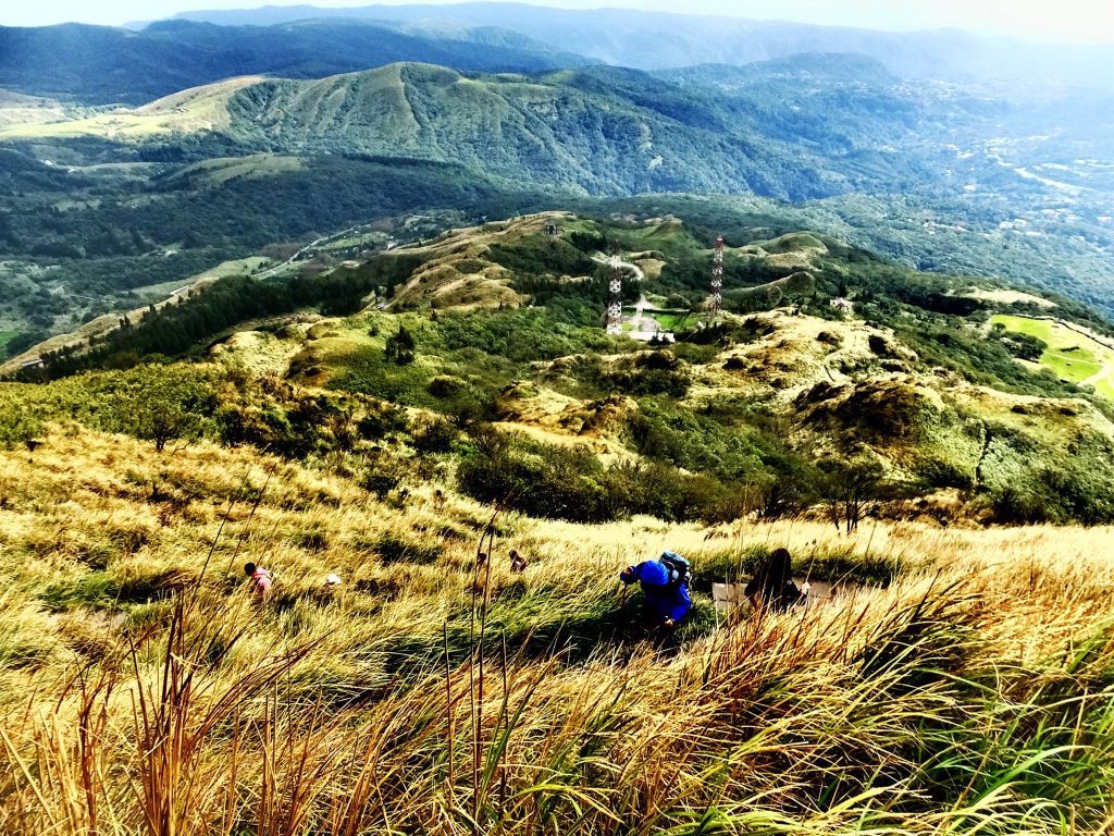 芒花如雪  漫遊草山_225108
