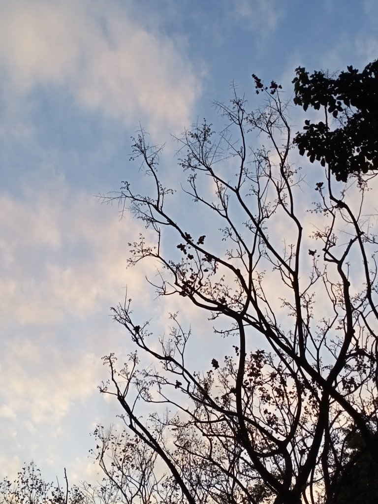 【小百岳集起來】 #007 基隆紅淡山 H210m, 三等三角點 #1024_1634321