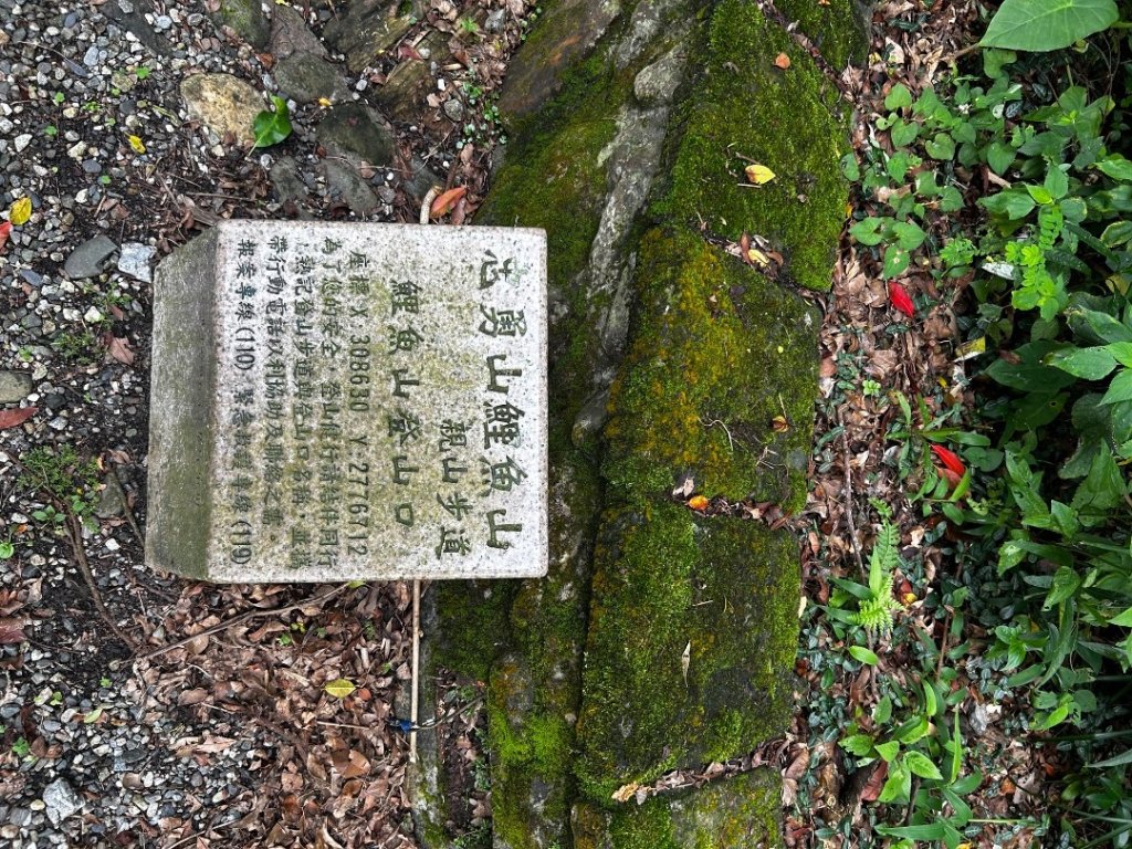 內湖鯉魚山之旅_2811721