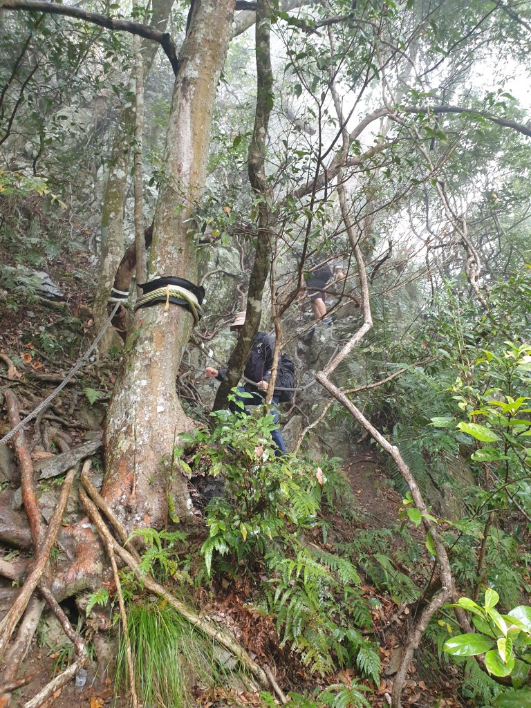 麗陽上屋我尾山_2683150
