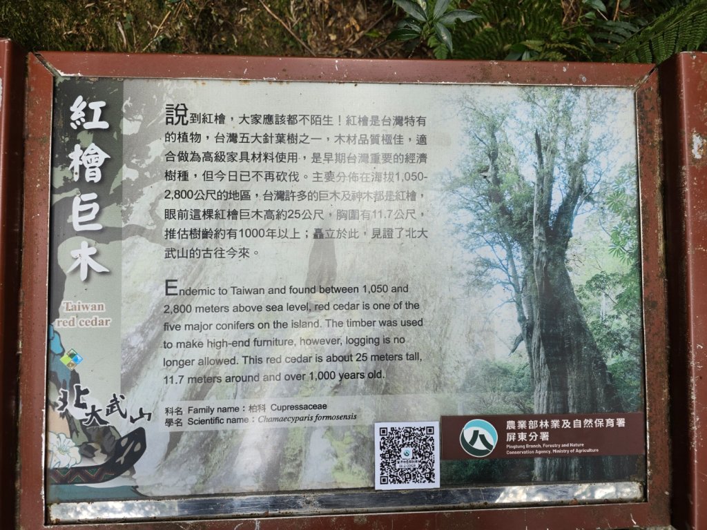 北大武山（喜多麗斷崖）雲海、雲霧、耶穌光之美_2467693