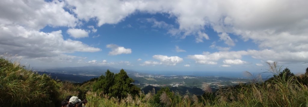 20201031登五分山賞芒花之旅_1150335