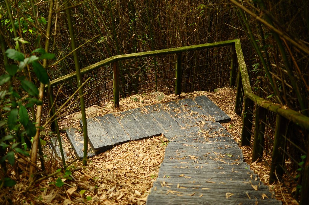 鄒族雅吾瑪斯步道_916868