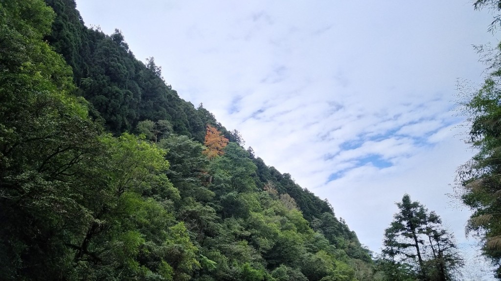 杜仔湖雙子山_240377