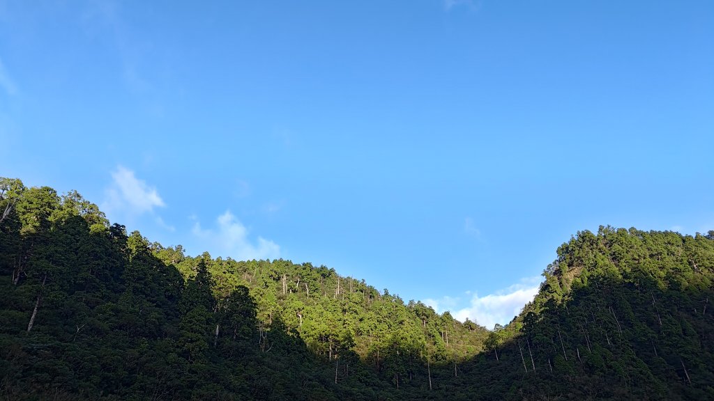 棲松縱走未竟_2918379