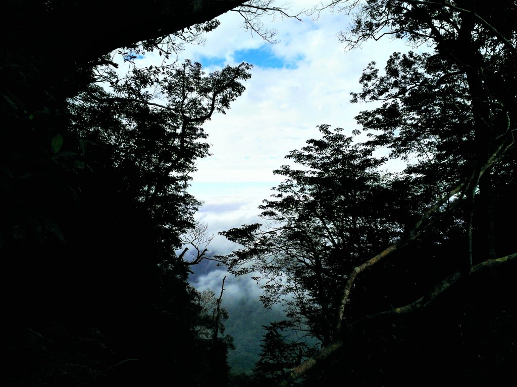 恣意橫貫五指之間_483010