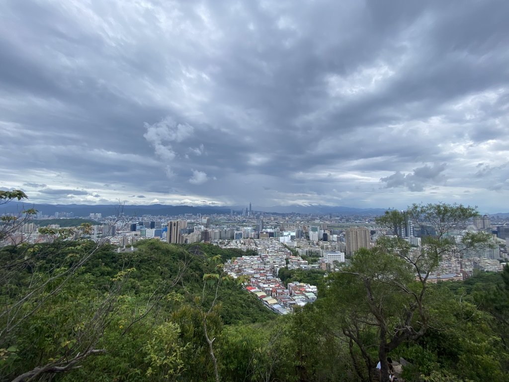 20240519金面山親山步道_2508077