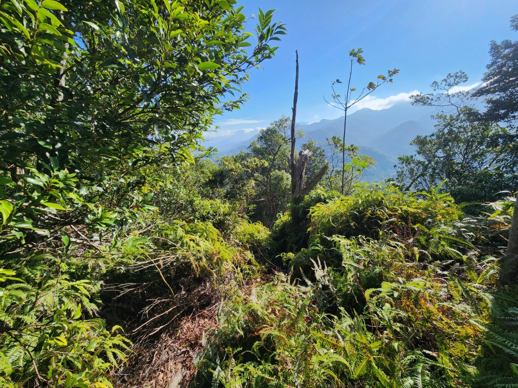 20251214石牛山柑坪山新柑坪山牛背岩_2972738