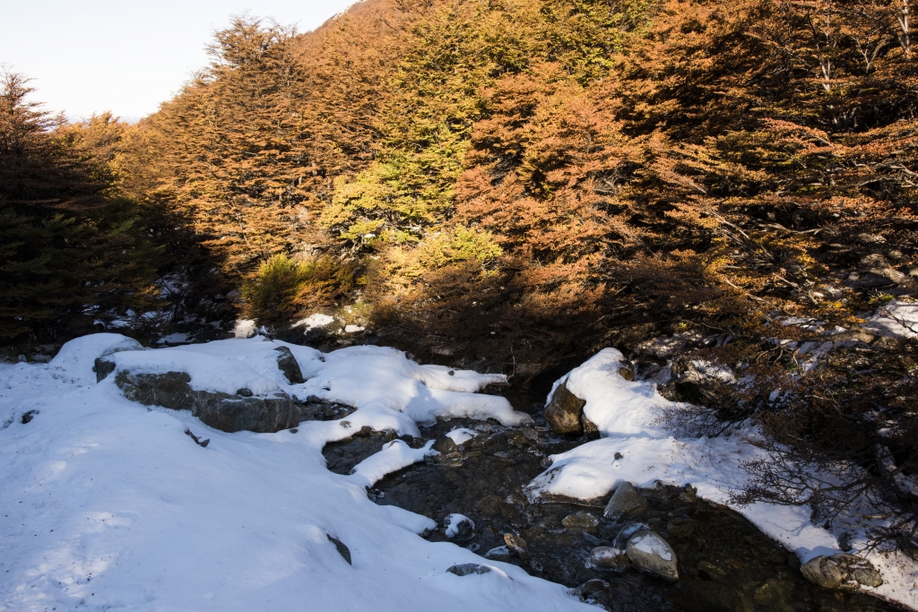 阿根廷火地島馬蒂爾冰河_53895