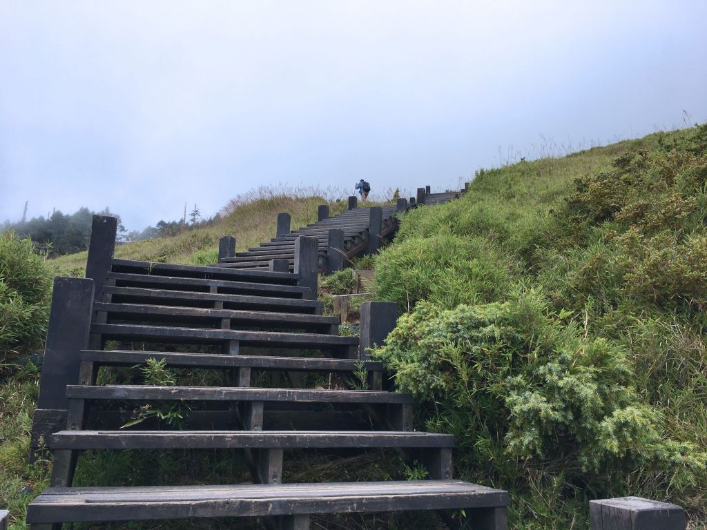 合歡東峰+合歡尖山_408925