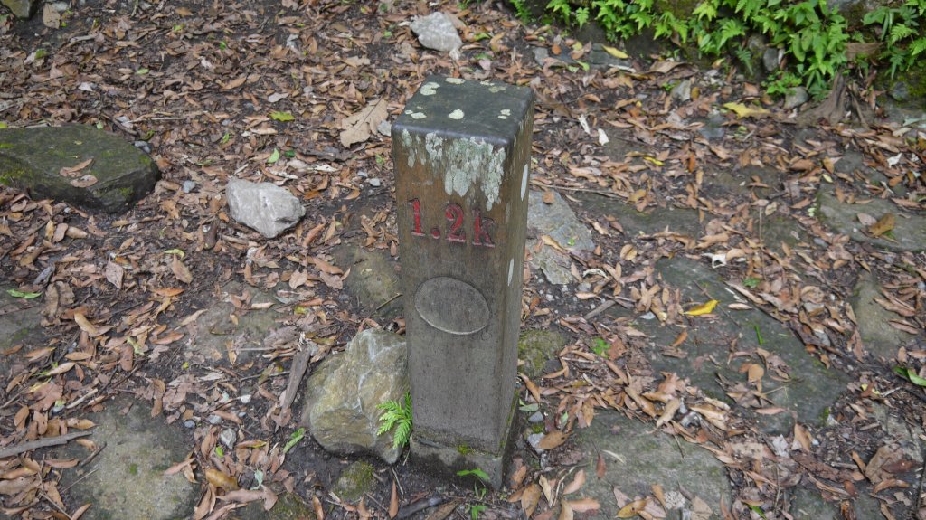 錐麓古道登山健行趣(古道)_1741916