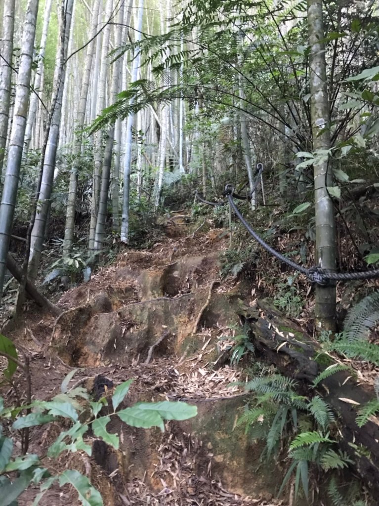 日月潭水社大山越野跑_1465221
