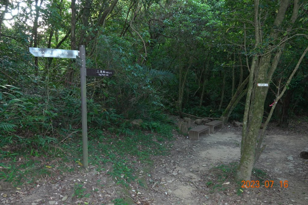 新北 汐止-平溪 姜子寮山、中窯尖、望古山_2223461