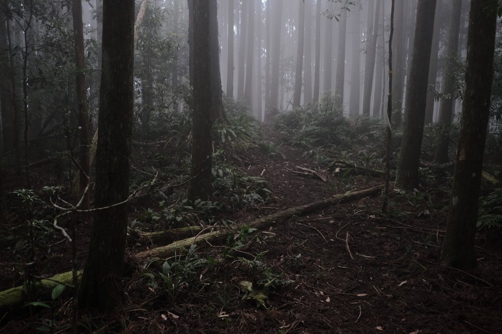 新竹尖石鄉 小錦屏溫泉上錦屏山下高島逆走O_1650725