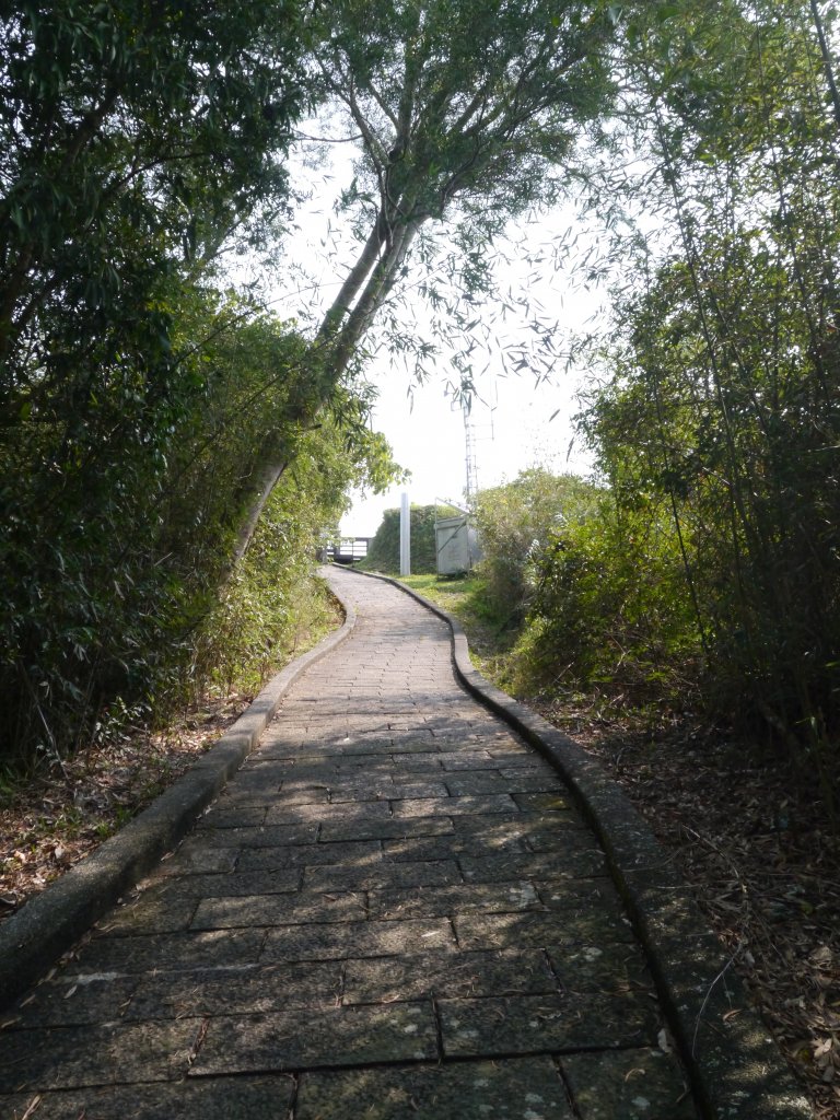 頂岩灣四格山步道_1324198