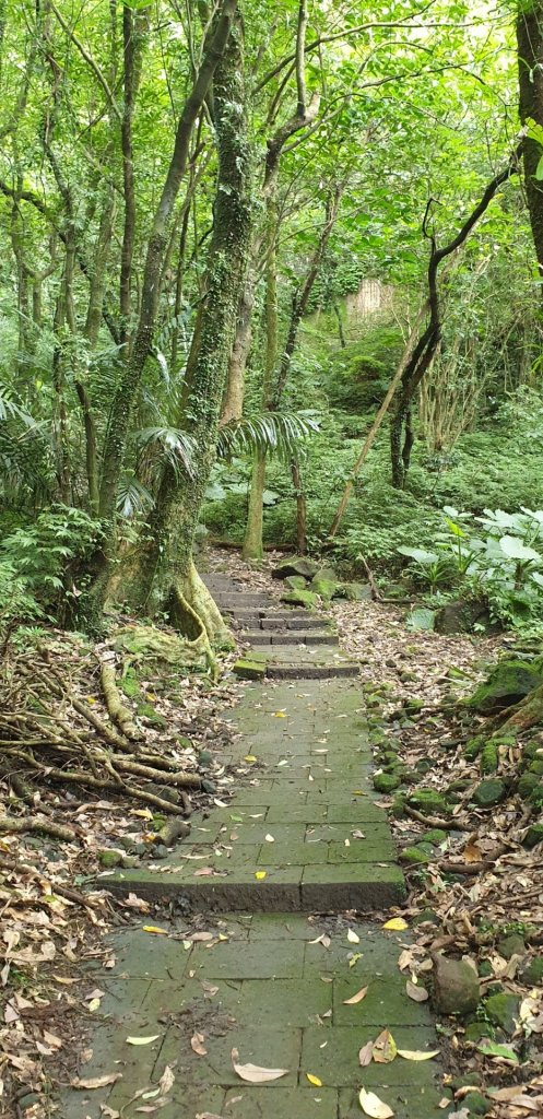 金字碑古道_871433