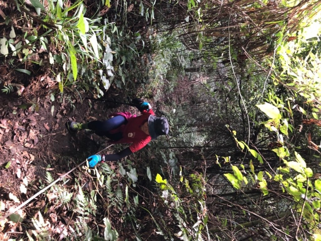 鳥嘴山、大窩山、比林山（比大鳥）_1458587