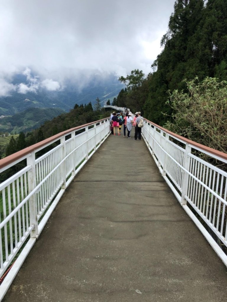 南投 仁愛 清境高空觀景步道_672826
