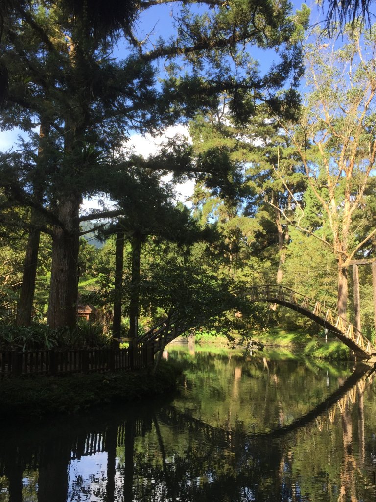 20201010南投溪頭_1145672