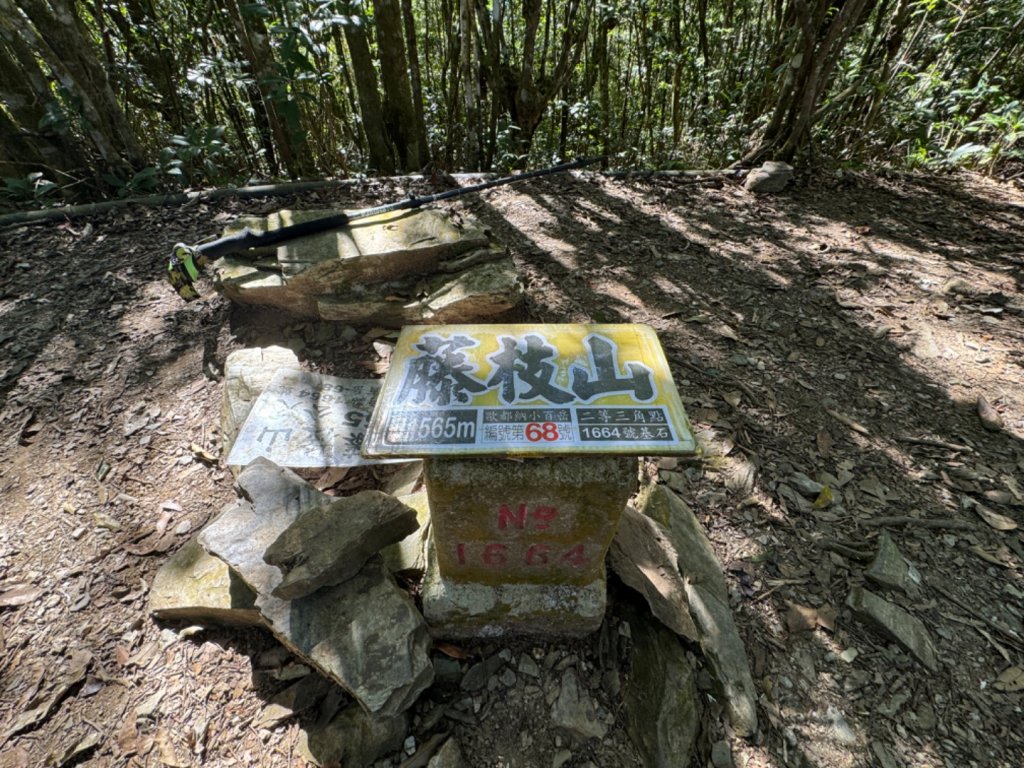 高雄市桃源區小百岳NO.68藤枝山(2-1664)，藤枝林道寶山巷17.1K反光鏡登山口封面圖