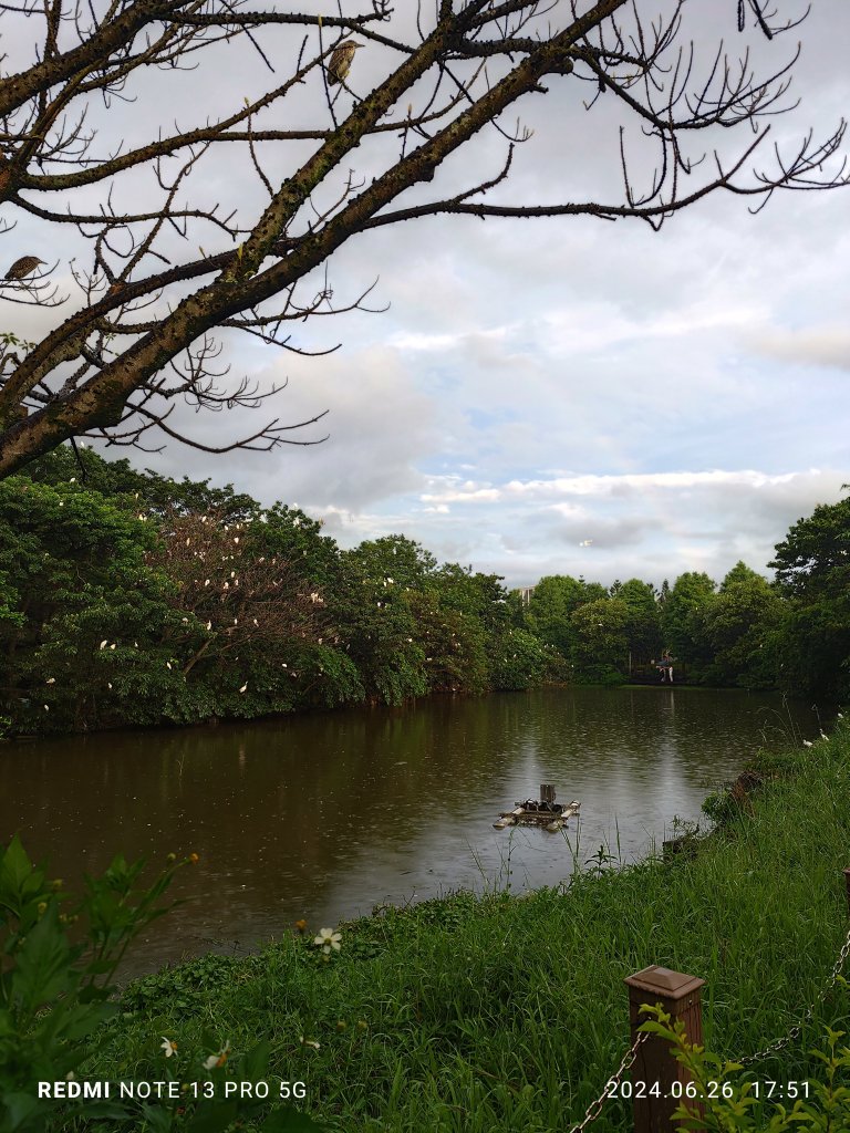 大安森林公園、寧夏夜市、士林夜市【走路趣尋寶】【臺北健走趣】_2536333