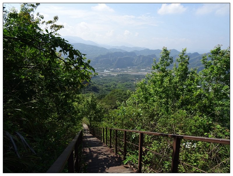 草屯/九九峰森林步道_939947