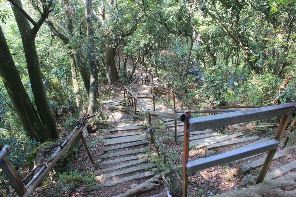 南觀音山步道_359802