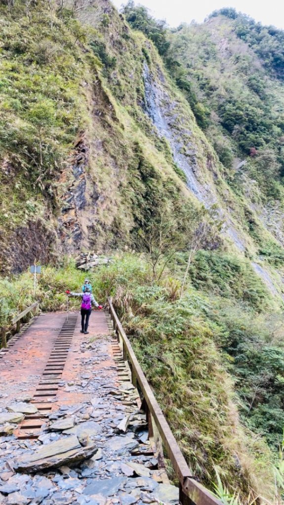 小鬼湖林道上亞泥迪山_1276905