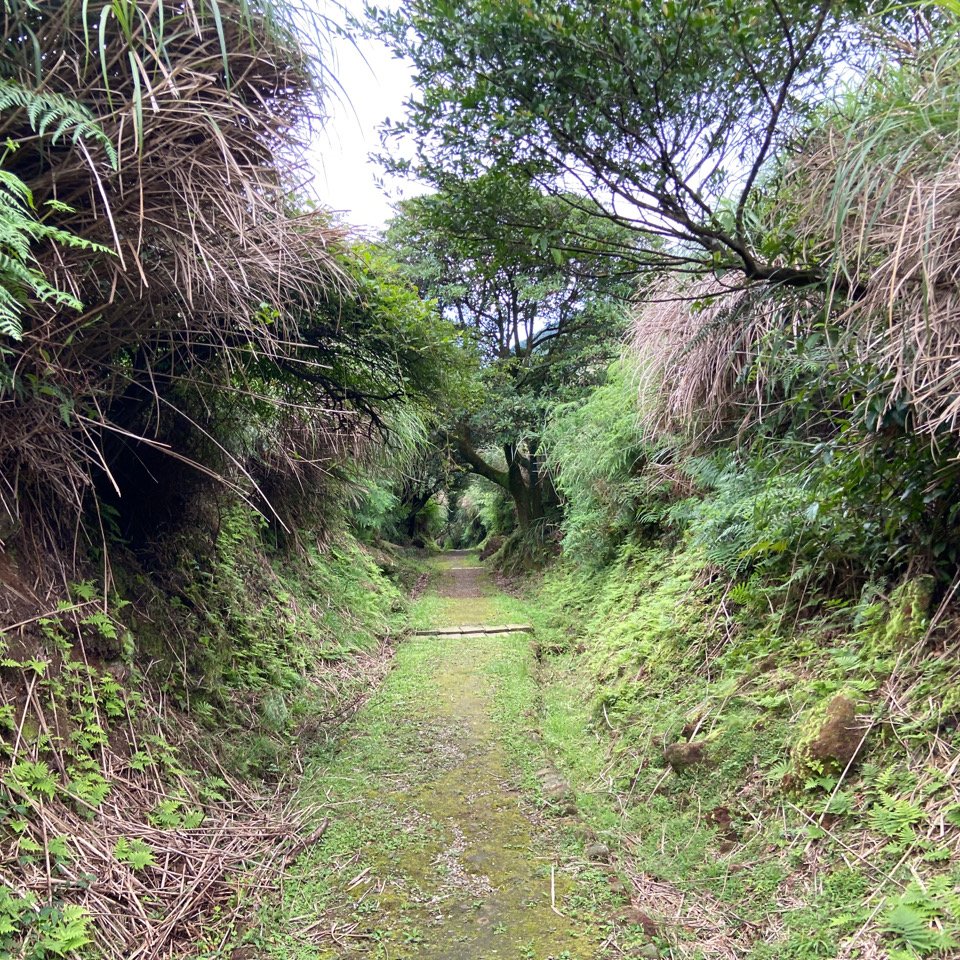 擎天崗停車場→金包里大路→上磺溪停車場→金包里大路→擎天崗環形步道→竹篙山→擎天崗停車場封面圖