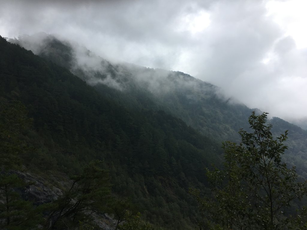 20161109-10_奇萊南華_873702