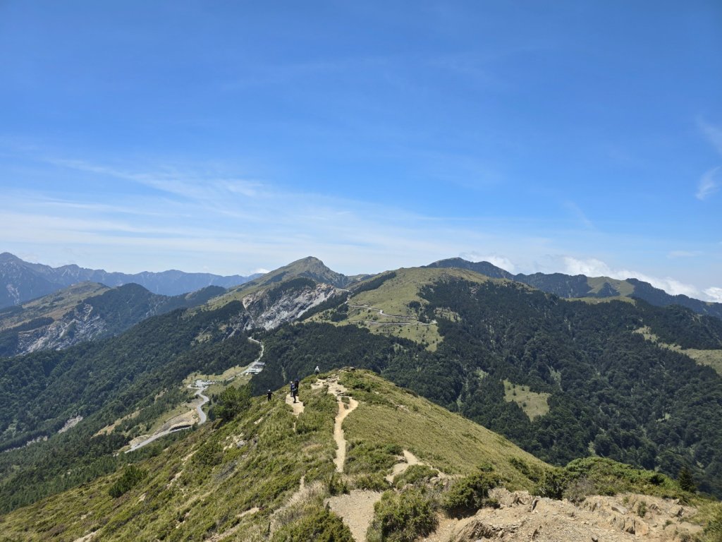 合歡北峰高山杜鵑盛開／龍膽點綴／紅毛杜鵑少許開花_2497464