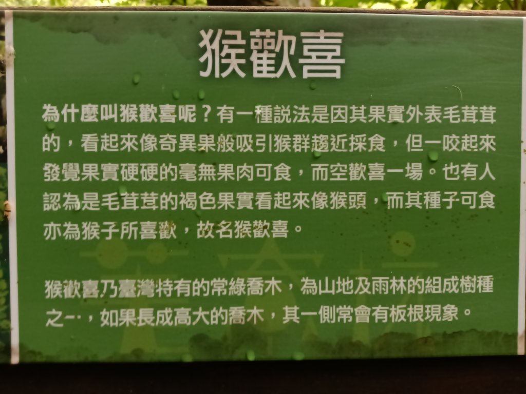 基隆市荖寮坑古道+十分古道(暖東舊道)+頂子寮山(嶺頭土地公)P字走_2821495