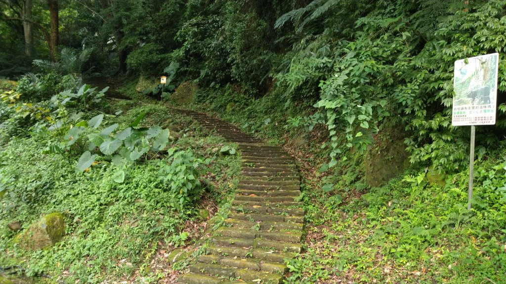 小百岳29號-20200920苗栗獅頭山_1106715