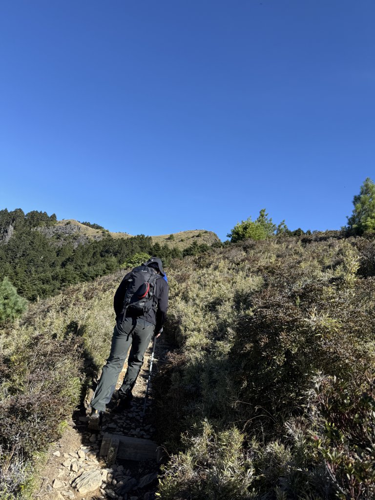 1141108-09桃山單攻_2936072